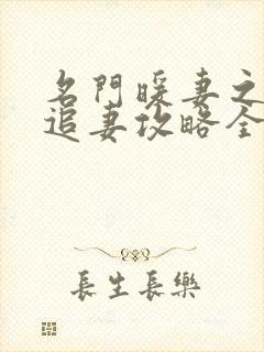 名门暖妻之权爷追妻攻略全集免费
