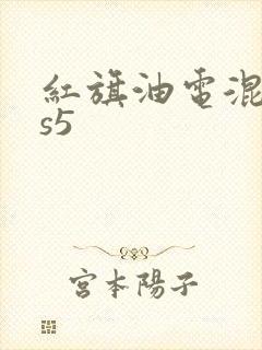 红旗油电混动hs5