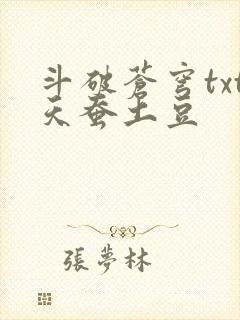 斗破苍穹txt天蚕土豆