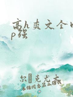高h爽文全肉np强
