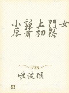 小说上门女婿叶辰萧初然