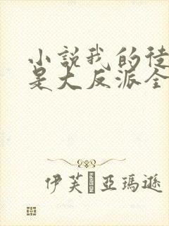 小说我的徒弟都是大反派全篇 小说我的徒弟都是大反派全篇
