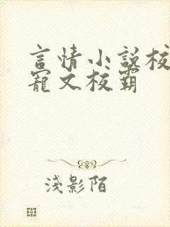 言情小说校园甜宠文校霸