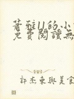 萧雅11的小说免费阅读无弹窗最新章节