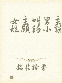 女主叫男主叔叔姓顾的小说