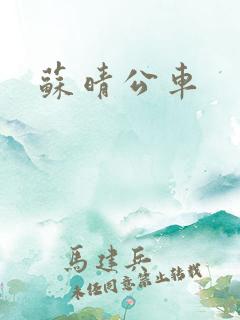 苏晴公车