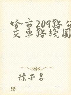 哈市209路公交车路线图