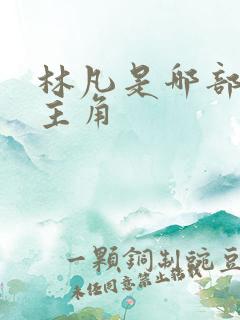 林凡是哪部小说主角