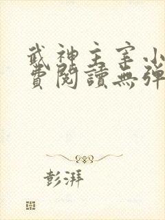 武神主宰小说免费阅读无弹窗
