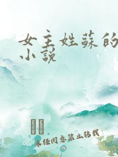 女主姓苏的玄幻小说 女主姓苏的玄幻小说