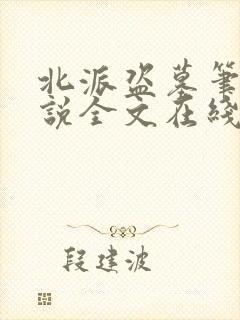 北派盗墓笔记小说全文在线阅读