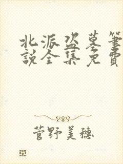 北派盗墓笔记小说全集免费下载 北派盗墓笔记小说全集免费下载