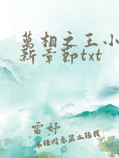 万相之王小说最新章节txt 万相之王小说最新章节txt
