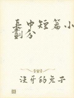 长中短篇小说的划分