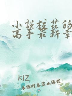 小说校花的贴身高手最新章节下载
