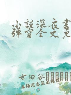 小说深夜书屋无弹窗全文免费阅读