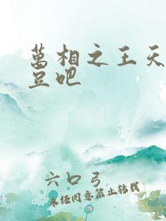 万相之王天蚕土豆吧