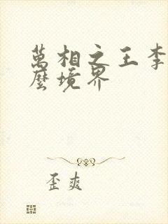 万相之王李洛什么境界