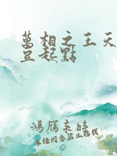 万相之王天蚕土豆起点