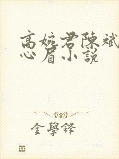 高婉君陈斌和赵心眉小说