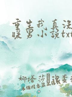 重生我真没想当暖男小说txt 重生我真没想当暖男小说txt