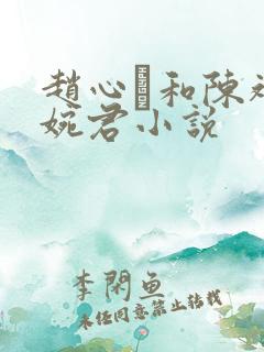 赵心睸和陈斌高婉君小说