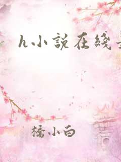h小说在线最新