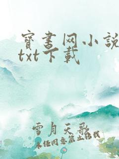 宝书网小说免费txt下载