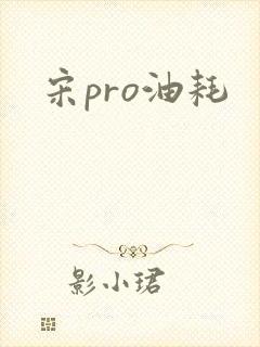 宋pro油耗 宋pro油耗