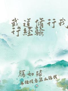 武道修行我有修行经验
