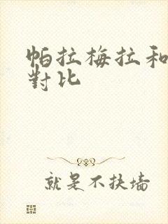 帕拉梅拉和卡宴对比