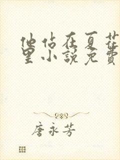 他站在夏花绚烂里小说免费在线阅读