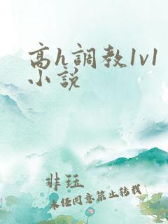 高h调教1v1小说