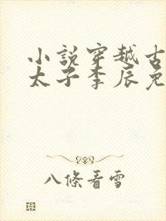 小说穿越古代当太子李辰免费阅读
