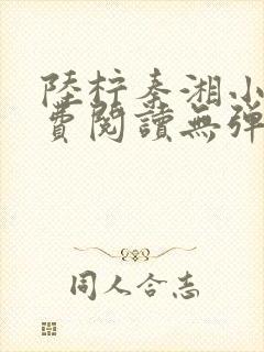 陆柠秦湘小说免费阅读无弹窗
