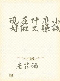 现在什么小生意好做又赚钱快见效