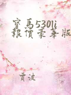 宝马530li报价豪华版