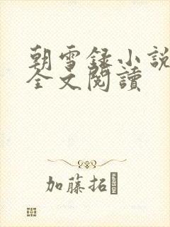 朝雪录小说免费全文阅读