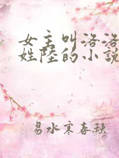 女主叫洛洛男主姓陆的小说