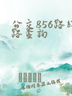 公交856路线路查询