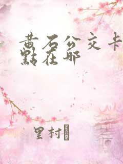 黄石公交卡充值点在哪
