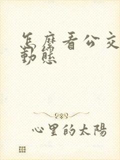 怎么看公交实时动态