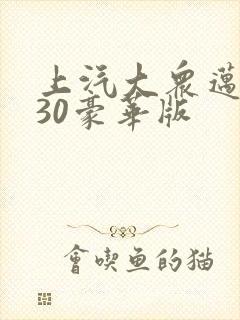 上汽大众迈腾330豪华版