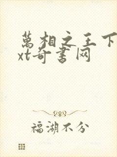 万相之王下载txt奇书网