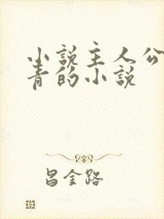 小说主人公李长青的小说