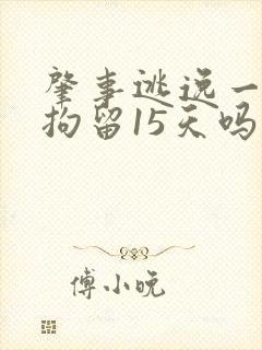 肇事逃逸一定要拘留15天吗