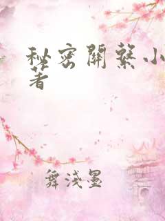秘密关系小说原著