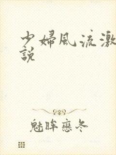 少妇风流激情小说
