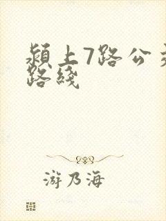 颍上7路公交车路线