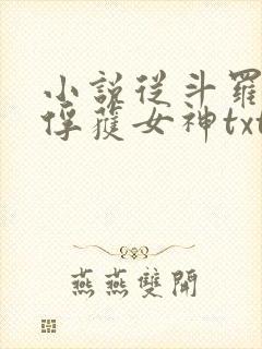 小说从斗罗开始俘获女神txt下载